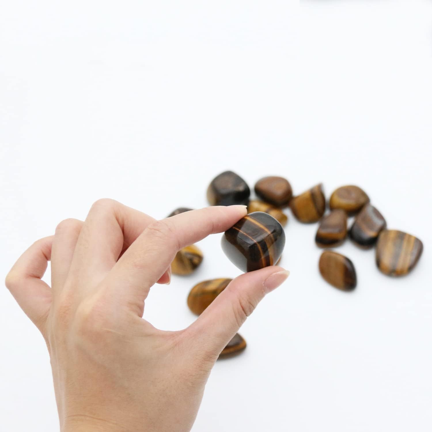 Bear's Tiger's Eye Stone