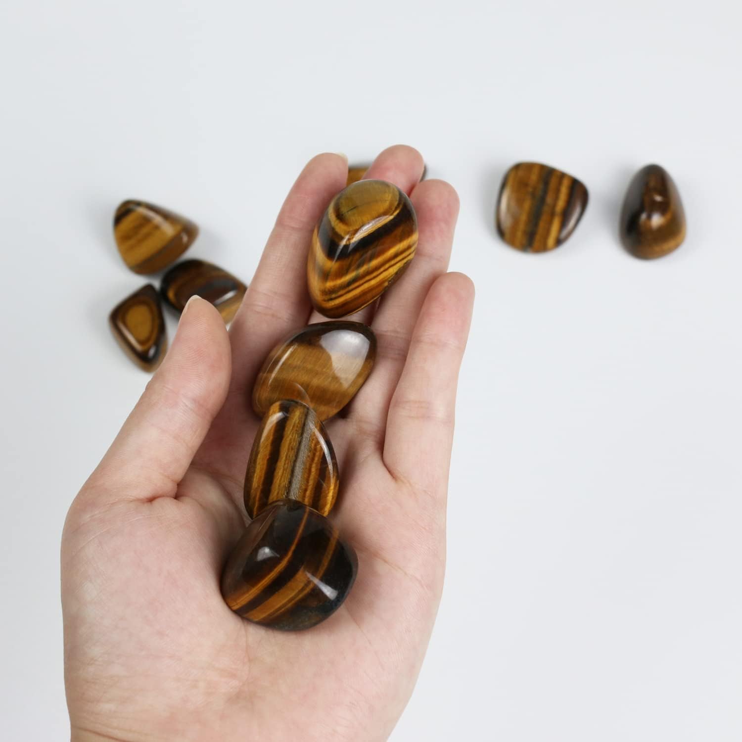 Bear's Tiger's Eye Stone