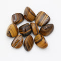 Bear's Tiger's Eye Stone
