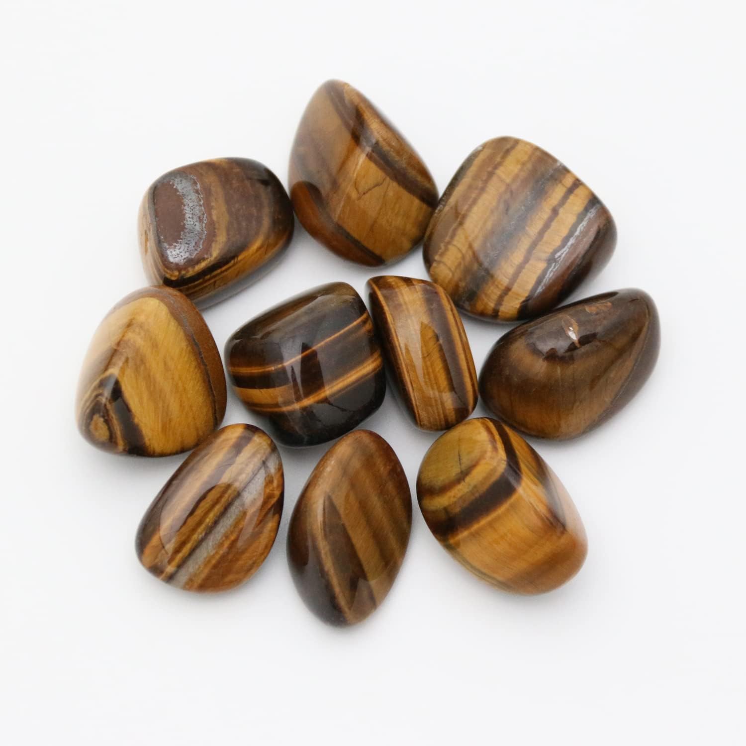 Bear's Tiger's Eye Stone